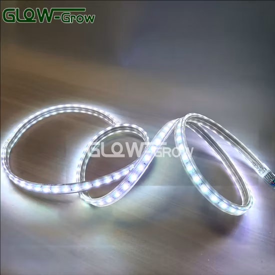 Decorazione natalizia Flessibile DC12V / 24V SMD2835 3528 5050 Striscia LED per scatola luminosa Lettere LED Decorazione pubblicitaria esterna